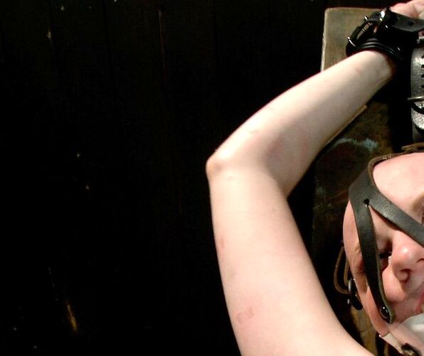 girls having sex on webcam cam web sites